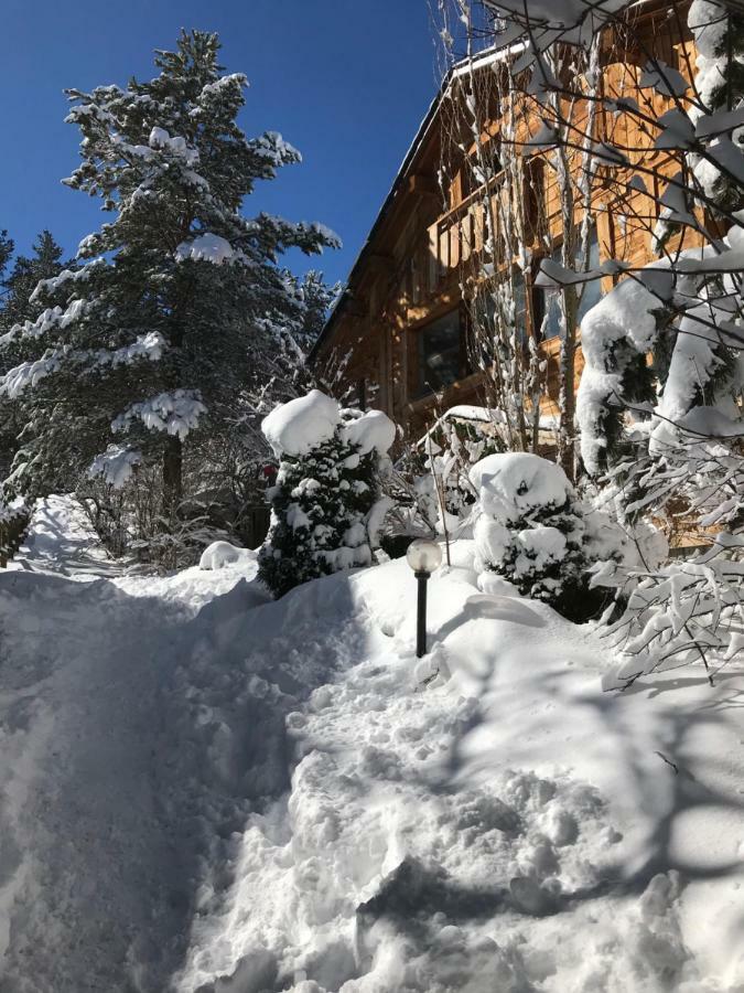 Formiguères Chalet Pomme De Pin 5 Chambres 12 A 14 Personnes المظهر الخارجي الصورة